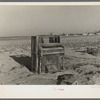 An organ deposited by the flood on a farm near Mount Vernon, Indiana