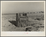 An organ deposited by the flood on a farm near Mount Vernon, Indiana