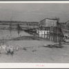 Flooded farmland near New Madrid, Missouri