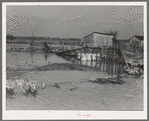 Flooded farmland near New Madrid, Missouri