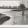 Flooded country road near Patoka, Indiana