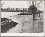 Flooded country road near Patoka, Indiana