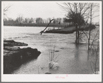 Flooded country road near Patoka, Indiana