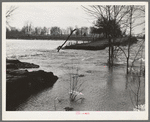 Flooded country road near Patoka, Indiana