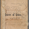 Leaves of grass