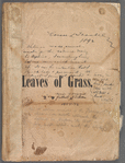 Leaves of grass