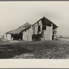 Barn and only horse on C.V. Hibbs' eighty-acre farm near Boswell, Benton County, Indiana. This farm is owner-operated, but heavily mortgaged