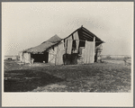 Barn and only horse on C.V. Hibbs' eighty-acre farm near Boswell, Benton County, Indiana. This farm is owner-operated, but heavily mortgaged