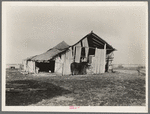 Barn and only horse on C.V. Hibbs' eighty-acre farm near Boswell, Benton County, Indiana. This farm is owner-operated, but heavily mortgaged