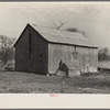 Barn on William Weltis' farm near Boswell, Indiana. This farm (fourteen hundred acres) is owner-operated under a heavy mortgage