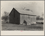 Barn on William Weltis' farm near Boswell, Indiana. This farm (fourteen hundred acres) is owner-operated under a heavy mortgage