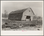 Corn crib on William Weltis' farm near Boswell, Indiana