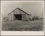 There is inadequate space for machinery on the farm rented by Sylvester Garring near Fowler, Indiana