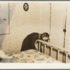 6:30 a.m. One of the Tip Estes' daughters is making the beds. Near Fowler, Indiana