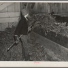 6:30 p.m. Tip Estes' son, Charles, putting hay in the manger for the cattle. Near Fowler, Indiana