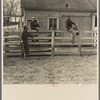 Attendants at the stockyard in Aledo, Illinois