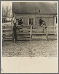 Attendants at the stockyard in Aledo, Illinois