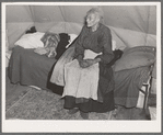 Ellen McAllister, ninety-one years old, the oldest resident of Shawneetown, Illinois, is a flood refugee at Tent City camp
