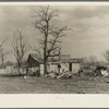 A house devastated by the flood of 1937. Shawneetown, Illinois. The flood subsided, the residents of this house have come back to clean up and live here