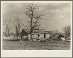 A house devastated by the flood of 1937. Shawneetown, Illinois. The flood subsided, the residents of this house have come back to clean up and live here