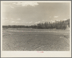 North end of earthen dam, Martin County Development Project, Indiana. This part has not been completely filled