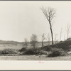 Piles of brush and logs from land which has been cleared. Martin County Development Project, Indiana. Note old rail fence