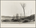 Piles of brush and logs from land which has been cleared. Martin County Development Project, Indiana. Note old rail fence