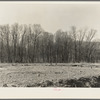 Land which has been cleared and timber which must be cut down, dam basin of Martin County Development Project, Indiana