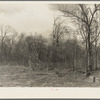 Some of the land which must be cleared on the Martin County Development Project, Indiana