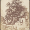 Reproduction of an illustration