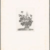 Pot of plant