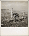 Tip Estes, hired man, repairing a fence. Near Fowler, Indiana