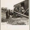 Shelling corn directly into a box car. Newton, Illinois