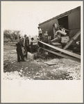 Shelling corn directly into a box car. Newton, Illinois