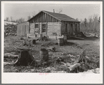House occupied by the Ingrahams and the Smallwoods near Nelma, Wisconsin. Ingraham, a lumberjack, has a wife and two children. Smallwood, a laborer migrated from Kentucky, has a wife and baby