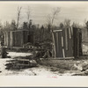 Cow shed and poultry house on the land occupied by the Ingrahams and the Smallwoods near Nelma, Wisconsin