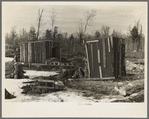 Cow shed and poultry house on the land occupied by the Ingrahams and the Smallwoods near Nelma, Wisconsin