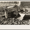 Farmyard of Matt Henry, a farmer of the cut-over lands. Near Tipler, Florence County, Wisconsin