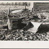 Farmyard of Matt Henry, a farmer of the cut-over lands. Near Tipler, Florence County, Wisconsin