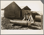 Farmyard of Matt Henry near Tipler, Wisconsin. A primitive water tank hollowed from a tree and a windlass still in operation. Farmers in this region have to make many of their own devices because of lack of funds to purchase manufactured equipment