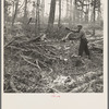 Lumberjack cleaning up brush and burning it at a camp in Forest County, Wisconsin