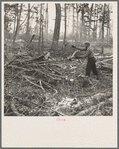 Lumberjack cleaning up brush and burning it at a camp in Forest County, Wisconsin