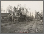 The log train passes through the lumber camp en route to Rhinelander, Wisconsin, where the sawmill of the lumbercamp is located. Forest County, Wisconsin