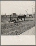 Horse-drawn mud sled. Shawneetown, Illinois