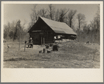 Shack occupied by Mr. Bastia, an unmarried shacker in Iron County, Michigan