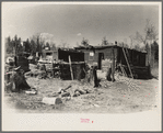 Chicken house and home of Lon Allen, farmer near Iron River, Michigan