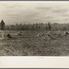 Piles of rock which have been cleared off a two-acre tract on Sando Evanoff's farm. Iron County, Michigan