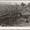 Logs left in the woods by logging operations, illustrating the great waste of timber accompanying private ownership and exploitation. It was common practice for operators to buy a forty-acre tract of timberland and steal timber from adjacent lands. Wis
