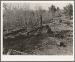 Logs left in the woods by logging operations, illustrating the great waste of timber accompanying private ownership and exploitation. It was common practice for operators to buy a forty-acre tract of timberland and steal timber from adjacent lands. Wis