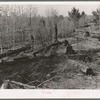 Logs left in the woods by logging operations, illustrating the great waste of timber accompanying private ownership and exploitation. It was common practice for operators to buy a forty-acre tract of timberland and steal timber from adjacent lands. Wis